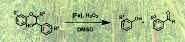 Graphical abstract: Iron-catalysed oxidative cleavage of lignin and β-O-4 lignin model compounds with peroxides in DMSO