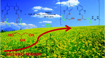 Graphical abstract: Preparation of lignin/glycerol-based bis(cyclic carbonate) for the synthesis of polyurethanes