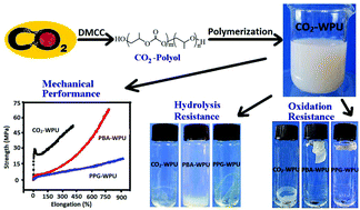 Graphical abstract: Waterborne polyurethanes from CO2 based polyols with comprehensive hydrolysis/oxidation resistance