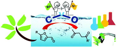 Graphical abstract: Catalytic transformation of bio-derived furans to valuable ketoacids and diketones by water-soluble ruthenium catalysts