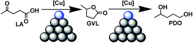 Graphical abstract: Supported copper catalysts for highly efficient hydrogenation of biomass-derived levulinic acid and γ-valerolactone