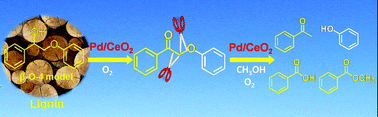 Graphical abstract: Oxidative conversion of lignin and lignin model compounds catalyzed by CeO2-supported Pd nanoparticles