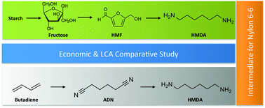 Graphical abstract: Hexamethylenediamine (HMDA) from fossil- vs. bio-based routes: an economic and life cycle assessment comparative study