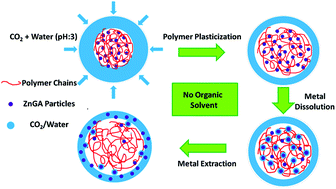 Graphical abstract: A new solution for removing metal-based catalyst residues from a biodegradable polymer