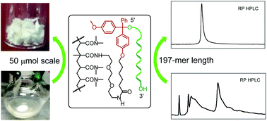 Graphical abstract: Polymerizable phosphoramidites with an acid-cleavable linker for eco-friendly synthetic oligodeoxynucleotide purification