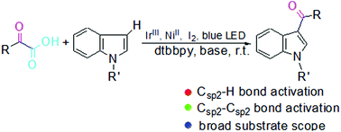 Graphical abstract: Acylation of indoles via photoredox catalysis: a route to 3-acylindoles