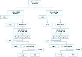 Graphical abstract: Lignin oxidation and depolymerisation in ionic liquids