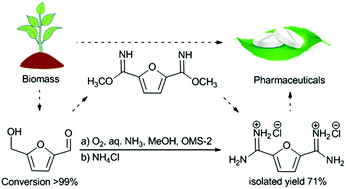 Graphical abstract: Catalytic conversion of 5-hydroxymethylfurfural into 2,5-furandiamidine dihydrochloride