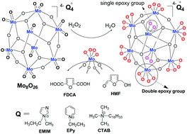 Graphical abstract: Selective oxidation of 5-hydroxymethylfurfural with H2O2 catalyzed by a molybdenum complex