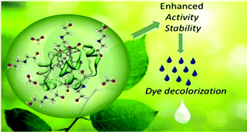 Graphical abstract: Hydroxyl ammonium ionic liquids as media for biocatalytic oxidations