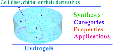 Graphical abstract: Hydrogels based on cellulose and chitin: fabrication, properties, and applications