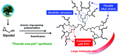 Graphical abstract: Synthesis and characterization of bio-based alkyl terminal hyperbranched polyglycerols: a detailed study of their plasticization effect and migration resistance