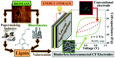 Graphical abstract: Biomass-derived binderless fibrous carbon electrodes for ultrafast energy storage