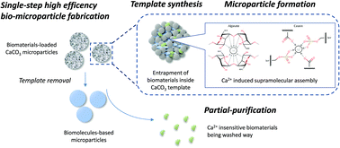 Graphical abstract: High efficiency single-step biomaterial-based microparticle fabrication via template-directed supramolecular coordination chemistry