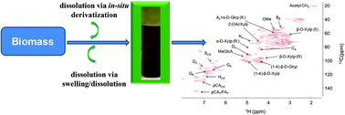 Graphical abstract: A review of whole cell wall NMR by the direct-dissolution of biomass