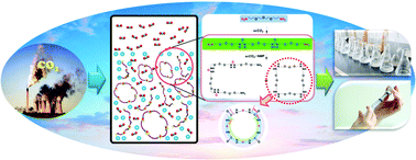 Graphical abstract: Carbon dioxide as a sustainable resource for macrocyclic oligourea