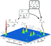 Graphical abstract: Tin-containing silicates: identification of a glycolytic pathway via 3-deoxyglucosone