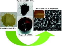 Graphical abstract: Hydrolytic liquefaction of hydrolysis lignin for the preparation of bio-based rigid polyurethane foam