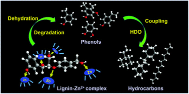 Graphical abstract: ZnCl2 induced catalytic conversion of softwood lignin to aromatics and hydrocarbons