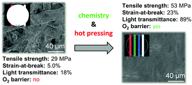 Graphical abstract: Towards natural-fibre-based thermoplastic films produced by conventional papermaking