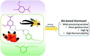 Graphical abstract: Breaking the symmetry of dibenzoxazines: a paradigm to tailor the design of bio-based thermosets