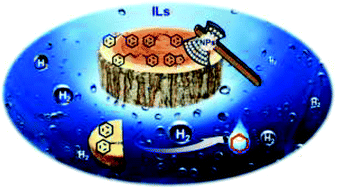 Graphical abstract: Conversion of lignin model compounds under mild conditions in pseudo-homogeneous systems