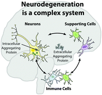 Graphical abstract: Systems biology of neurodegenerative diseases
