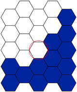 Graphical abstract: Modelling wound closure in an epithelial cell sheet using the cellular Potts model