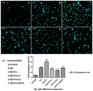 Graphical abstract: Two macrocyclic polyamines as modulators of metal-mediated Aβ40 aggregation