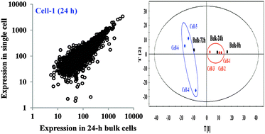 Graphical abstract: RNA-seq based transcriptomic analysis of single bacterial cells