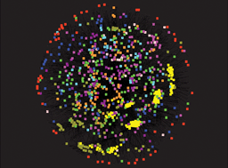 Graphical abstract: Integrative approaches for signalling and metabolic networks