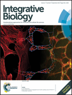 Graphical abstract: Front cover