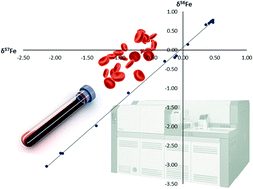 Graphical abstract: High-precision Fe isotopic analysis of whole blood for biomedical purposes without prior isolation of the target element