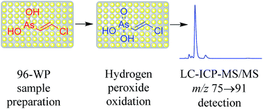 Graphical abstract: Lewisite exposure biomarkers in urine by liquid chromatography – inductively coupled plasma tandem mass spectrometry: with an accelerated matrix-matched stability study