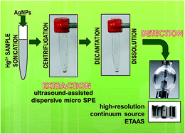 Graphical abstract: Silver nanoparticles as a solid sorbent in ultrasound-assisted dispersive micro solid-phase extraction for the atomic absorption spectrometric determination of mercury in water samples