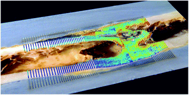 Graphical abstract: Regionalized quantitative LA-ICP-MS imaging of the biodegradation of magnesium alloys in bone tissue