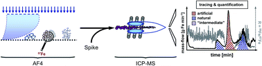 Graphical abstract: Application of stable isotopes and AF4/ICP-SFMS for simultaneous tracing and quantification of iron oxide nanoparticles in a sediment–slurry matrix