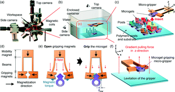 Graphical abstract: Three-dimensional heterogeneous assembly of coded microgels using an untethered mobile microgripper