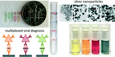 Graphical abstract: Multicolored silver nanoparticles for multiplexed disease diagnostics: distinguishing dengue, yellow fever, and Ebola viruses