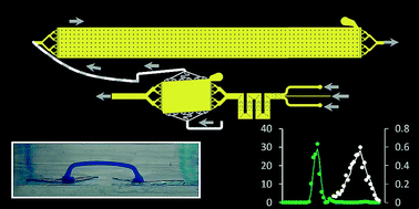 Graphical abstract: Modular microfluidics for point-of-care protein purifications