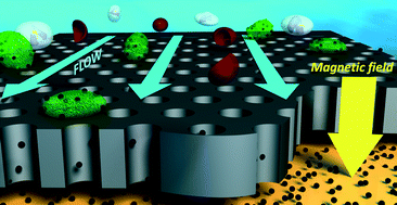 Graphical abstract: Circulating tumor cell detection using a parallel flow micro-aperture chip system