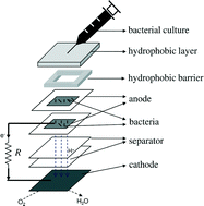 Graphical abstract: Instant power generation from an air-breathing paper and pencil based bacterial bio-fuel cell