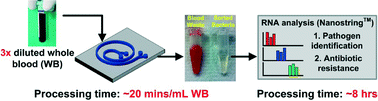 Graphical abstract: Direct detection and drug-resistance profiling of bacteremias using inertial microfluidics