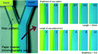 Graphical abstract: Facile and precise flow control for a paper-based microfluidic device through varying paper permeability