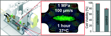 Graphical abstract: Temperature-controlled MPa-pressure ultrasonic cell manipulation in a microfluidic chip