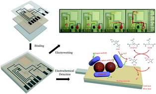 Graphical abstract: UV-nanoimprint lithography as a tool to develop flexible microfluidic devices for electrochemical detection