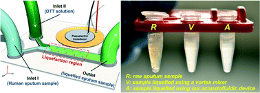 Graphical abstract: An acoustofluidic sputum liquefier