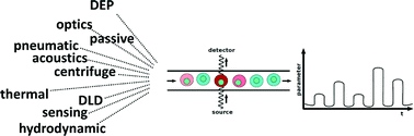 Graphical abstract: The Poisson distribution and beyond: methods for microfluidic droplet production and single cell encapsulation