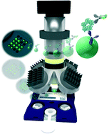 Graphical abstract: Programmable bio-nano-chip system: a flexible point-of-care platform for bioscience and clinical measurements