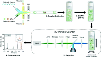 Graphical abstract: Digital quantification of miRNA directly in plasma using integrated comprehensive droplet digital detection